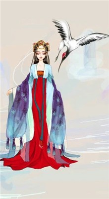 �ʺ��ù�װ��Ϸ����