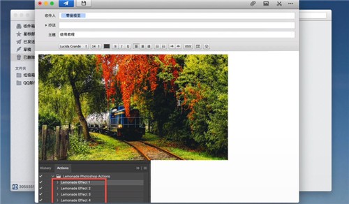 ��ݮС˵����Ķ�APP