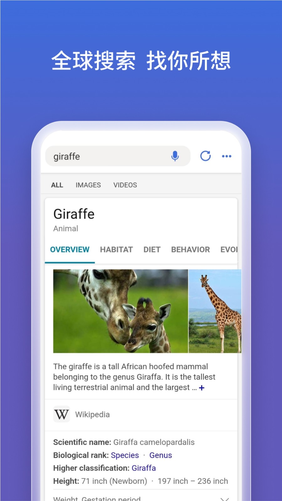 BING�������ڰ����