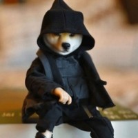 ֲ���ս��ʬ�ӽ����޸���