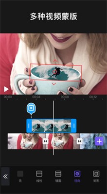vivacut������Ѹ߼���ɫ��