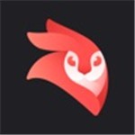 videoleapȥ�������¼��