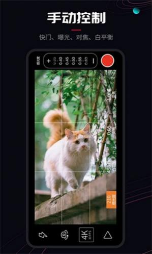 promovie�ٷ�����