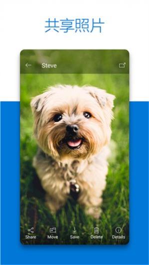 OneDrive��׿��