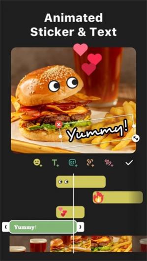 inshot��Ƶ����app