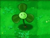 pvz��ֲ���޸�������