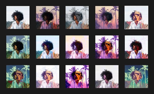 相片大师完美绿色版