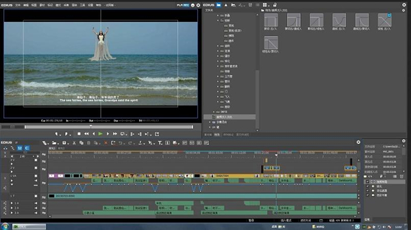 EDIUS10������ɫ������