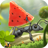 СС�����ڹ���