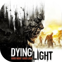 ���ŵĹ�â�ֻ���