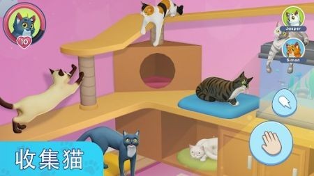 �ҵĳ���èģ������Ϸ����