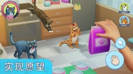 �ҵĳ���èģ������Ϸ����