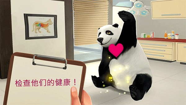�ҵĳ���ҽԺ���޽����ʯ������