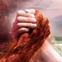 ɥʬ�������������İ�