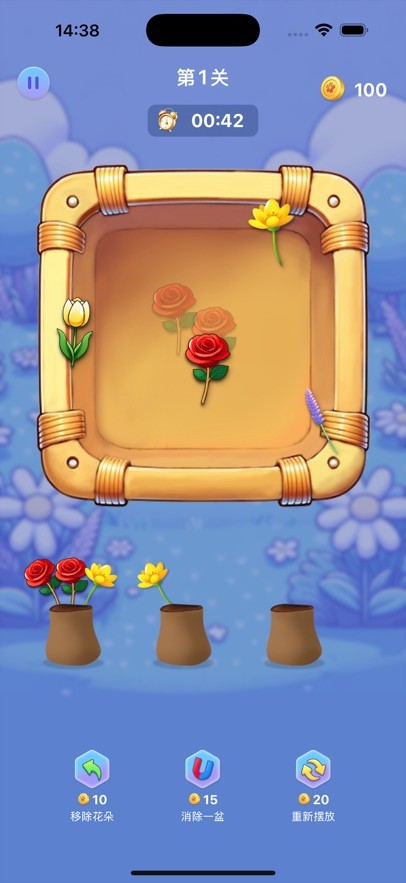 �ڻ���ź����2026����