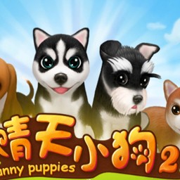 ����С��2�ڹ������޹�ͷ���