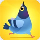 ���ĸ����ƽ��