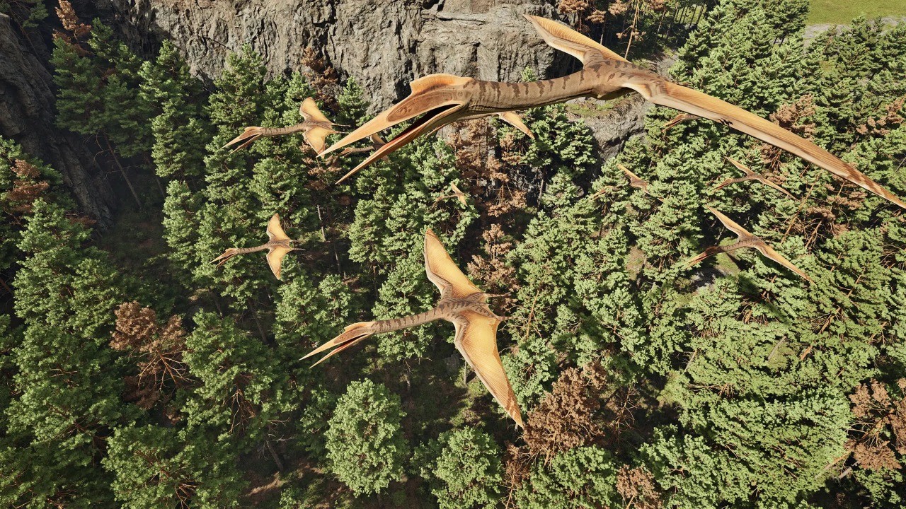 ����������Դ�ֻ���