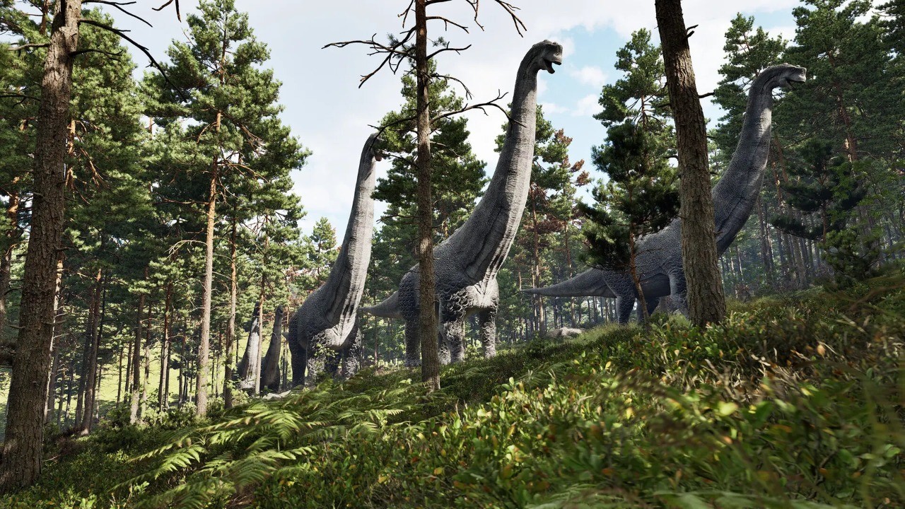 ����������Դ�ֻ���