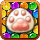 ��������è�ٷ�����