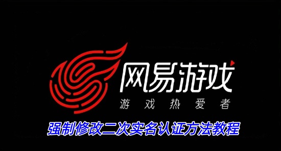 ����ǿ���޸Ķ���ʵ����֤��ô�� ���׶���ʵ���޸���Ϣ����