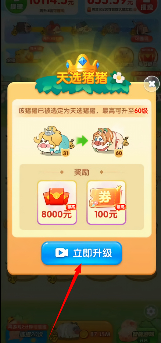 猪猪来财红包赚钱版