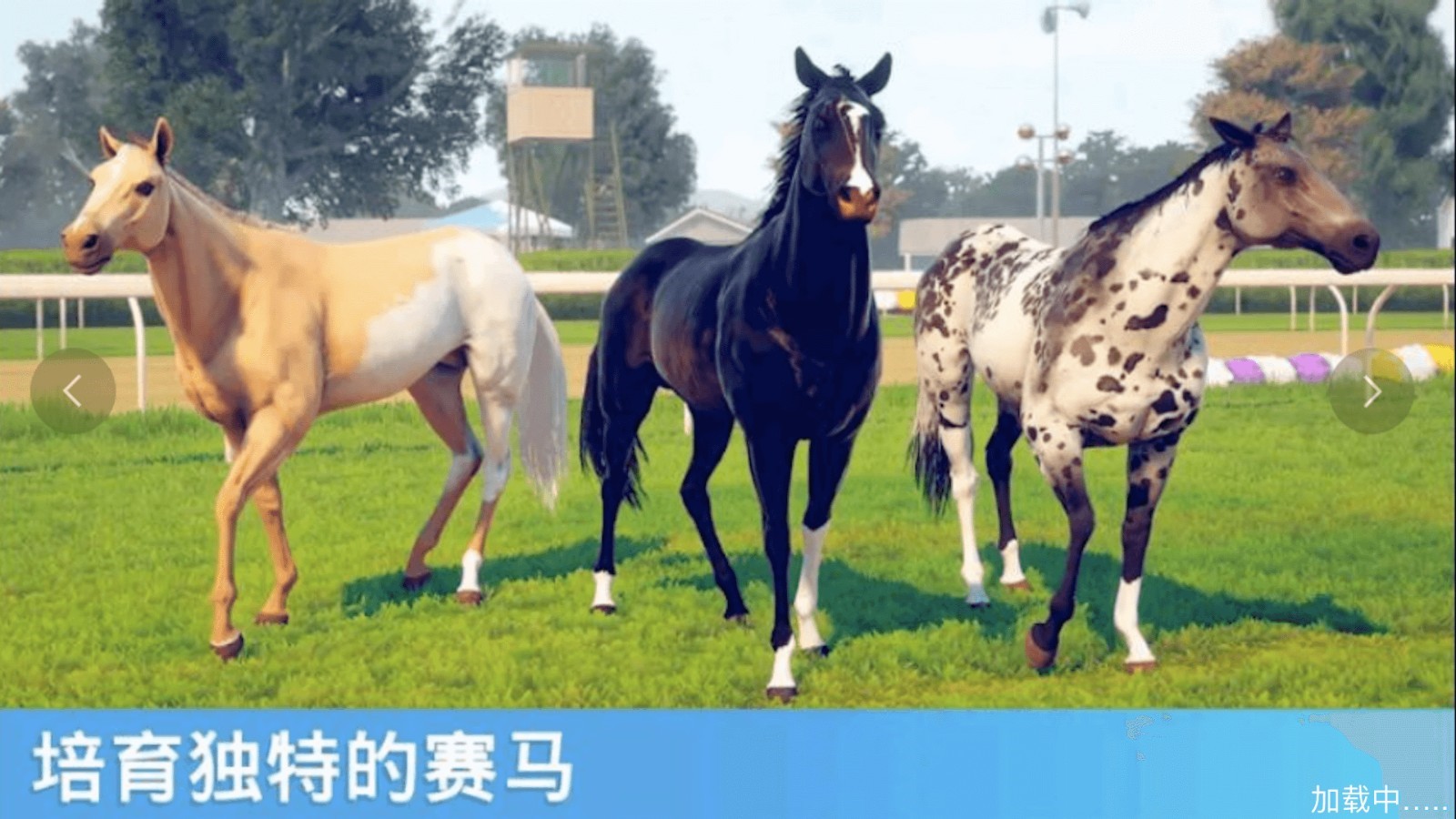 ���崫����ƥ���ɾ�����ɫ�����°�����