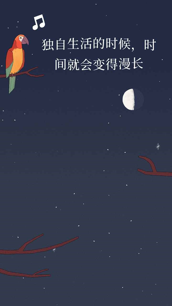 孤独的鸟儿官方下载