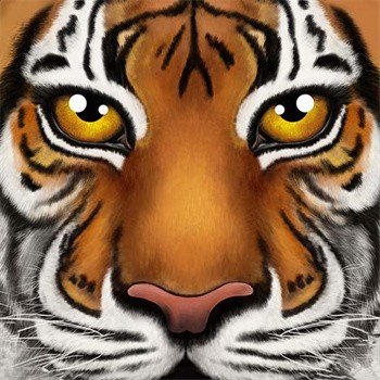 �ռ�����ģ����