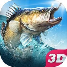 ������ڹ���