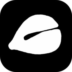 ����ľ��