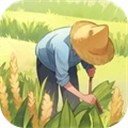 ���������С�װ�