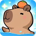 �ƺ�֮��������