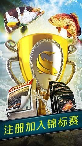 ����ʵ����ģ��������������޽�Ұ����ذ�װ