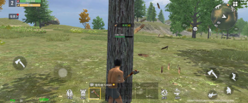 ����������Ϸ����