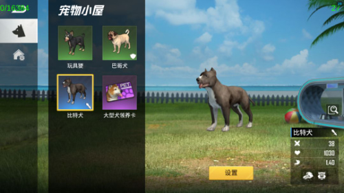 ����������Ϸ����