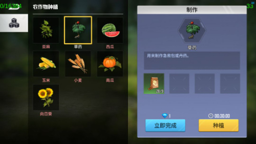 ����������Ϸ����