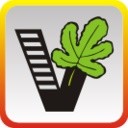 ��Ҫ��ѧ��