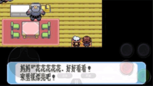 �ڴ�����ŷ��٤�챦ʯ�����ֻ���