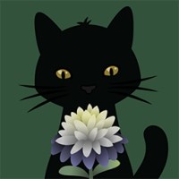 ����԰�հ�׿�� v1.1.591