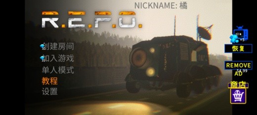 repo�ֻ��溺��������