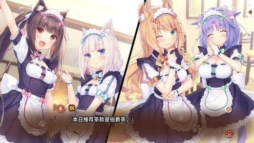 è����԰nekopara��Ϸ����������